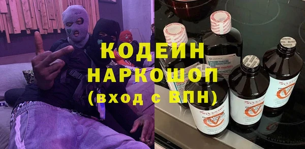 дурь Алексин