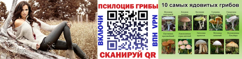 гидра рабочий сайт Пролетарск Псилоцибиновые грибы MAGIC MUSHROOMS магазин